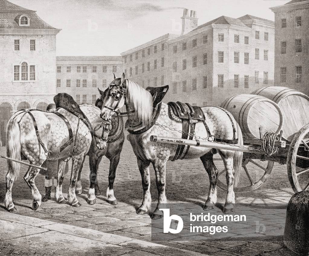 English Farm Horses, 1823 (litho)