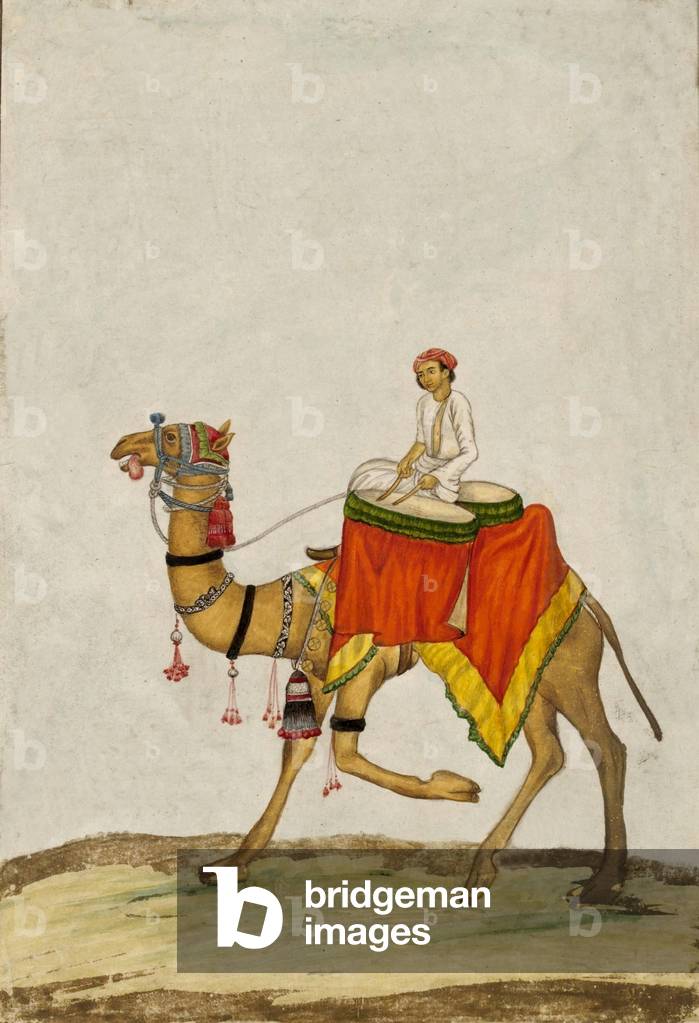 A Camel with its Rider playing Drums, c. 1840 (gouache)