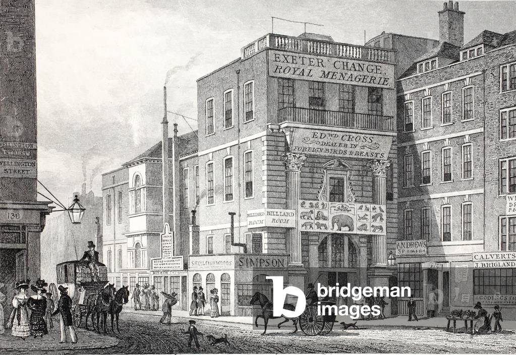 Exeter Change, Strand, from 'London and it's Environs in the Nineteenth Century' pub. Jones & Co., 1827-1829 (engraving)