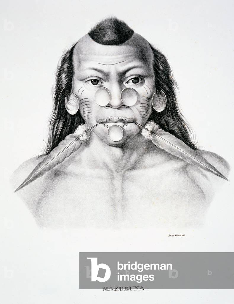 Native man of the Maxuruna tribe, with face decoration, from 'Atlas of a Journey in Brazil' by Dr von Spix and Dr von Martius (litho) 