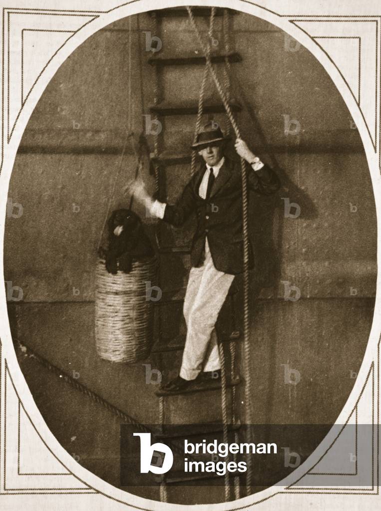 Always ready to go ashore: lowering a dog into a boat for landing, illustration from 'The Illustrated War News', 6th September 1916 (sepia photo)