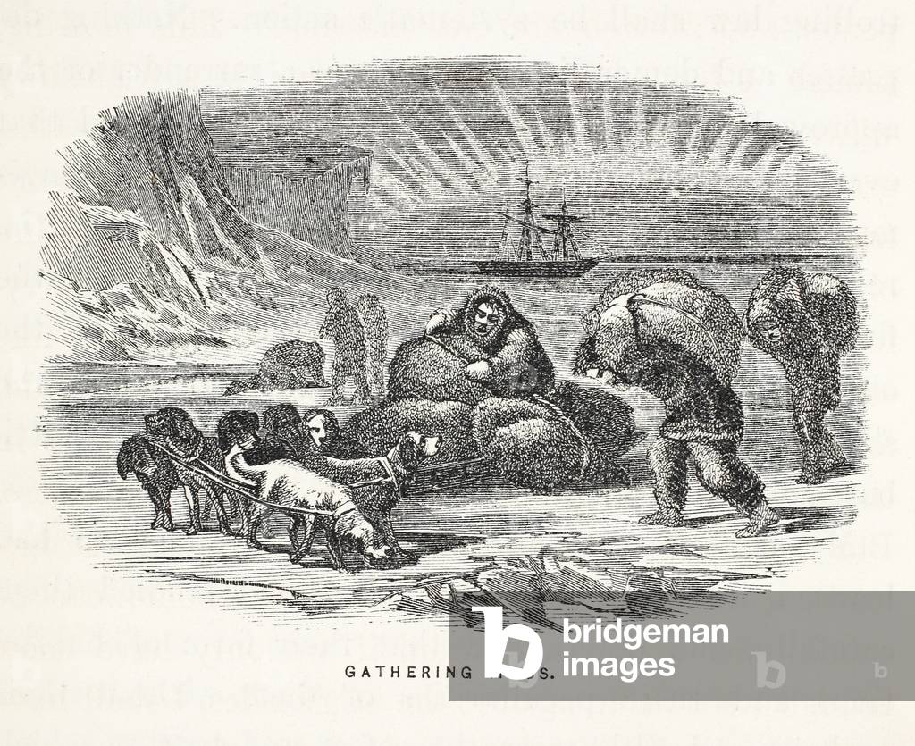 Gathering Moss, illustration from 'The second Grinnell Expedition in Search of Sir John Franklin...', 1856 (engraving)
