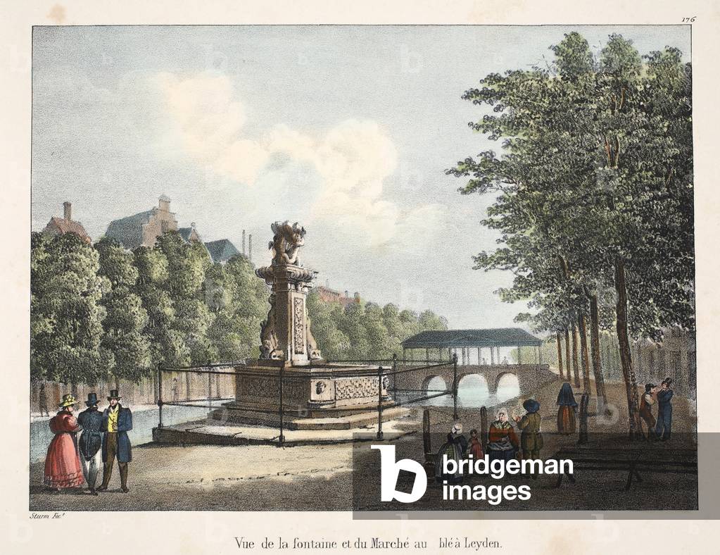 Vue de la fontaine et du Marché au blea Leyden, c.1895 (photochrom)