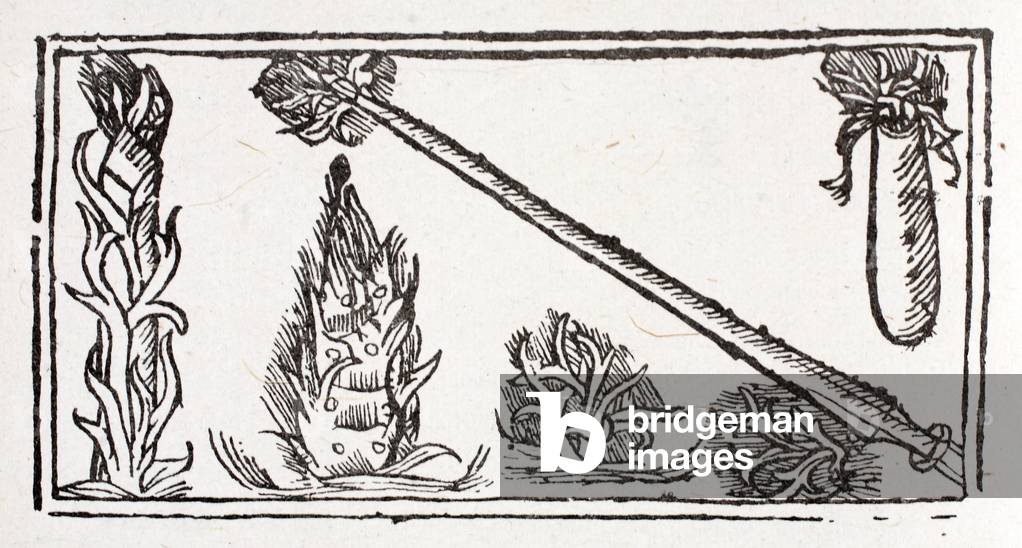 A flaming lance, a rising flame and fiery sparks (litho)
