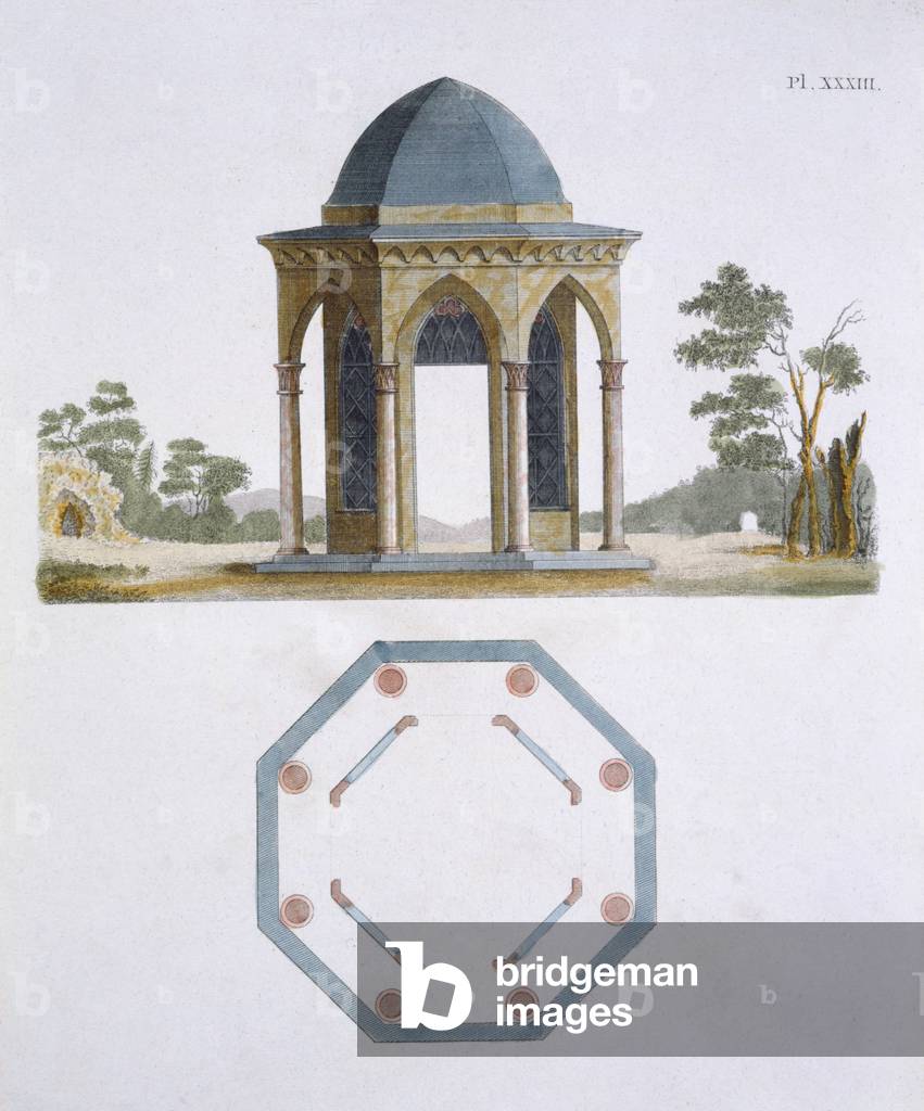 Illustration from the 'Magazine of Garden Gems' by G Van Laar, 1802 (colour litho)