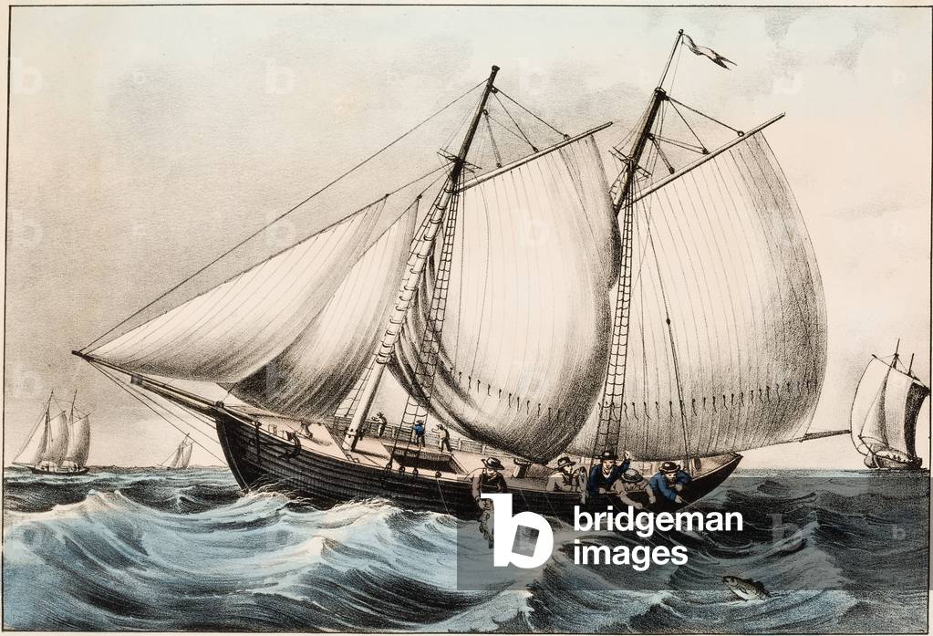 Cod Fishing off Newfoundland, pub. 1872 (colour litho)
