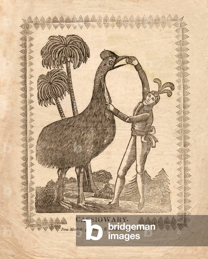 Feeding Fruit to a Cassowary, pub.1828 (engraving)