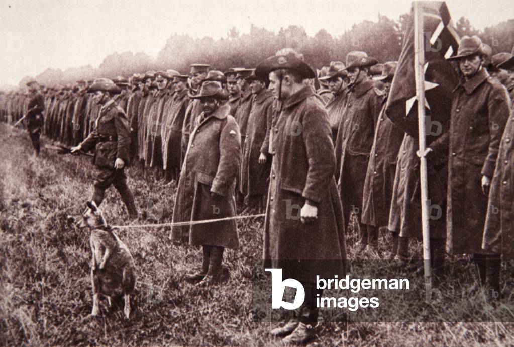 Image of Photography depicting The 'Anzac' review on Salisbury Plain: an Australian mascot, 20th century by En