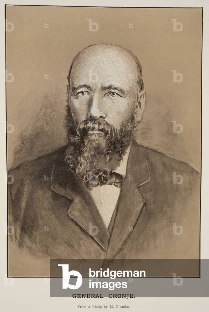 Image de Estampe représentant Général Cronje, 20th Siècle par South African School