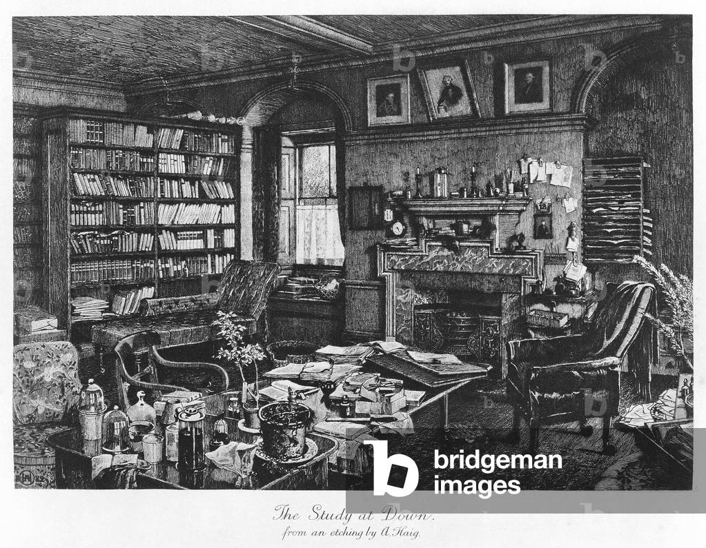 The Study at Down,  pub. 1882 (engraving)
