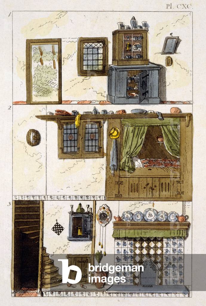Illustration from the 'Magazine of Garden Gems' by G Van Laar, 1802 (colour litho)