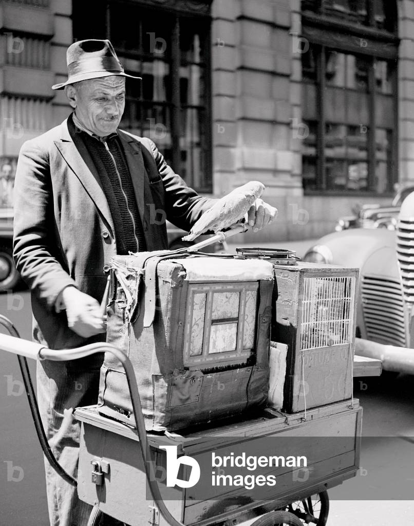Organ Grinder, New York 1948
