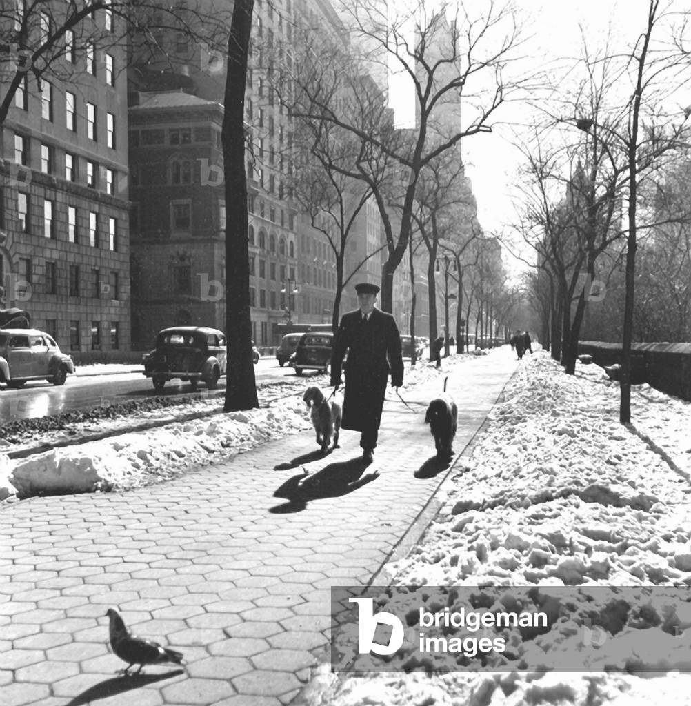 Dog Walker, New York 1949
