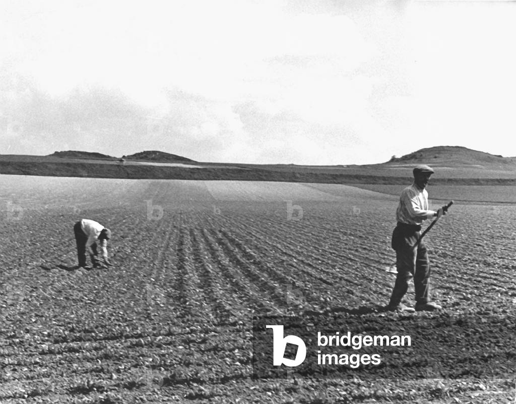 Farmers, France 1938