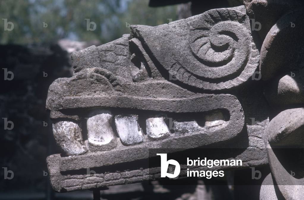 Immagine di Fotografia "Testa di serpente di Quetzalcoatl (foto)"
