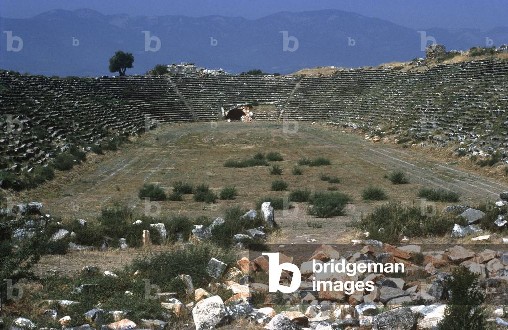 The Stadium (photo)