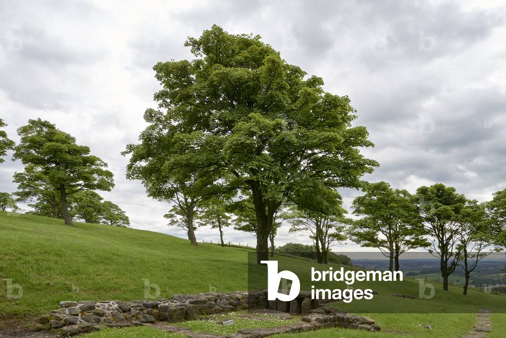Bar Hill fort on the Antonine Wall, between Twechar and Croy, Scotland (photo)