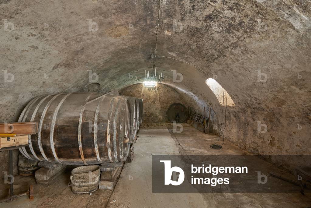 Cellar of an 18th century four-sided farm, Mettenheim (colour photo)