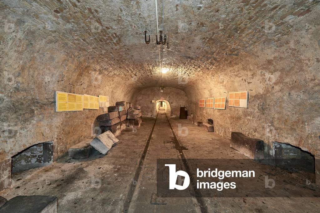 Monsheim, Villa Fliedner, the cellars (18th century), Rhinehesse, Rhineland-Palatinate, Germany