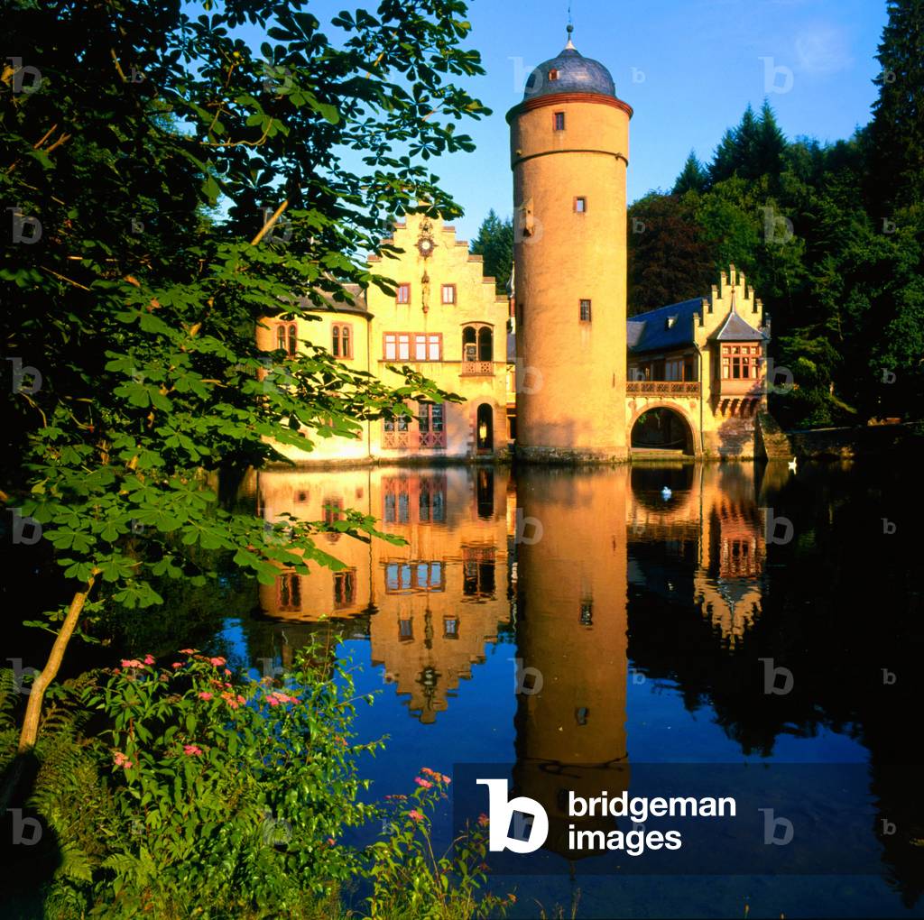 View of the castle with a moat (photo)