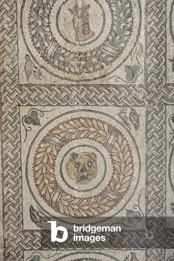 Mosaic floor depicting the head of a lion in the 1st peristyle, c.300 AD (mosaic)