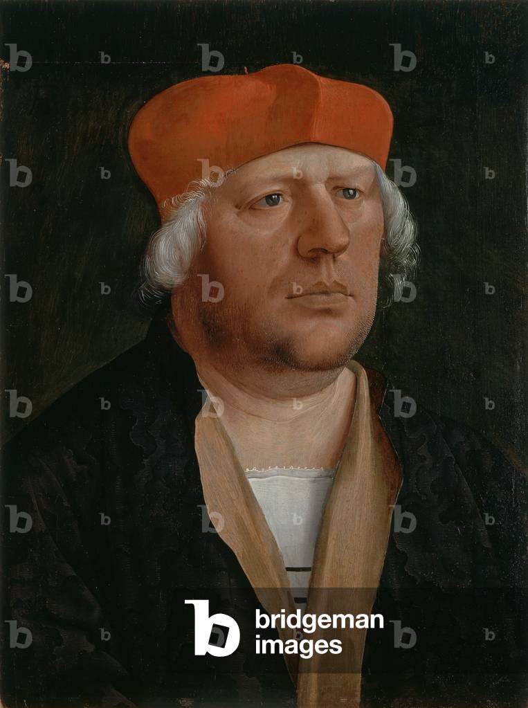 Portrait of a Canon, c.1520 (oil on panel)