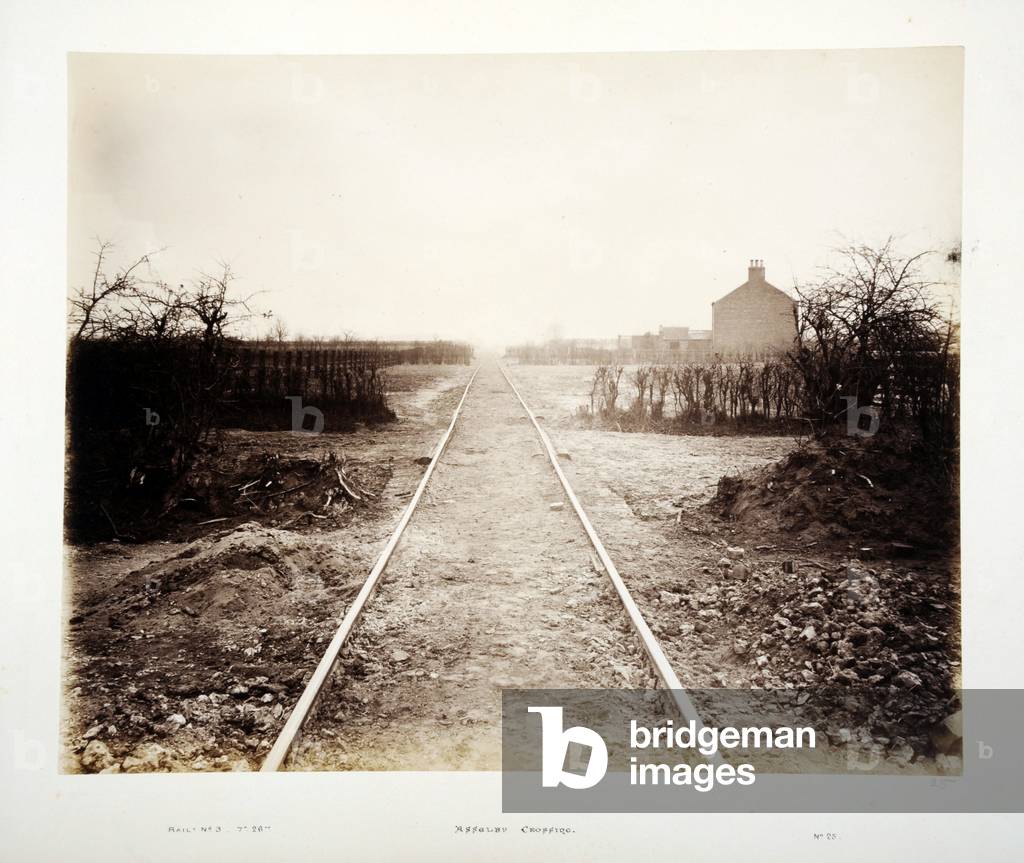 Asselby Crossing, 1882 (sepia photo)