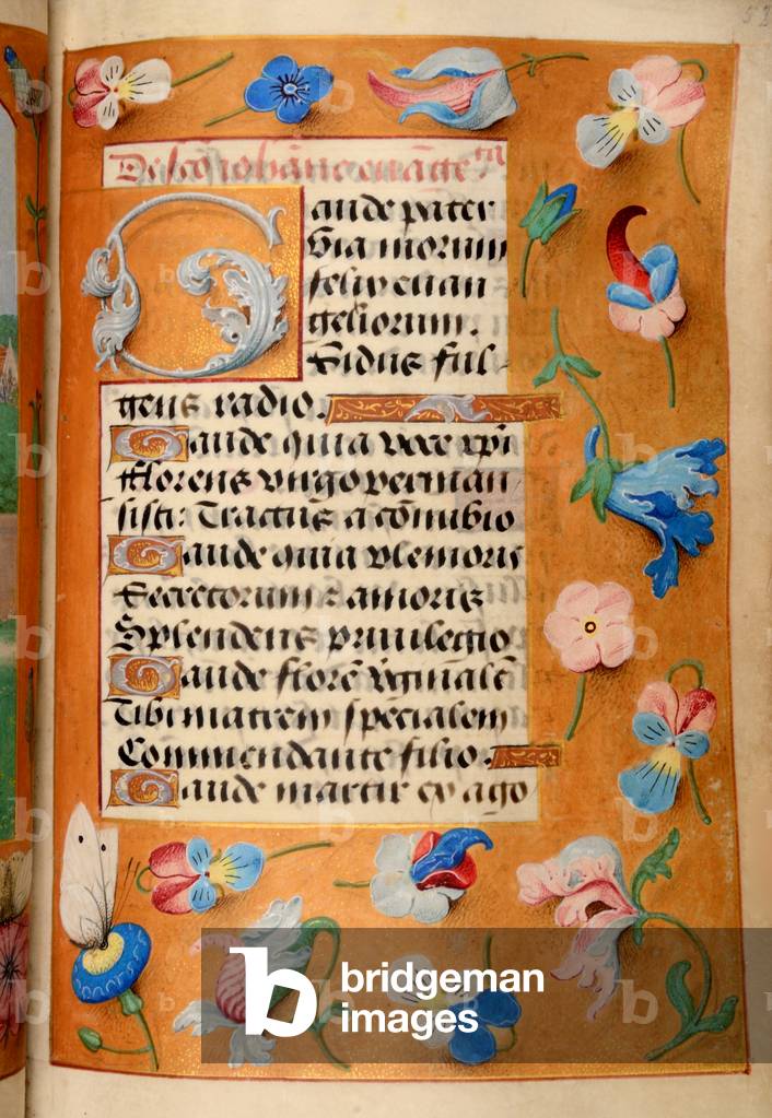Ms 60 fol.52r Text with flower border, from the Hours of Katherine Bray, c.1480-90 (gouache & bodycolour on vellum)