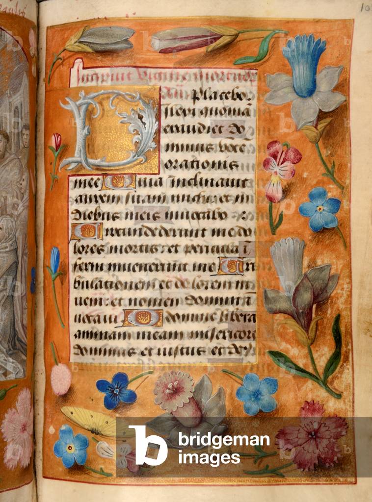 Ms 60 fol.105r Text with flowers and butterfly, from the Hours of Katherine Bray, c.1480-90 (gouache & bodycolour on vellum)