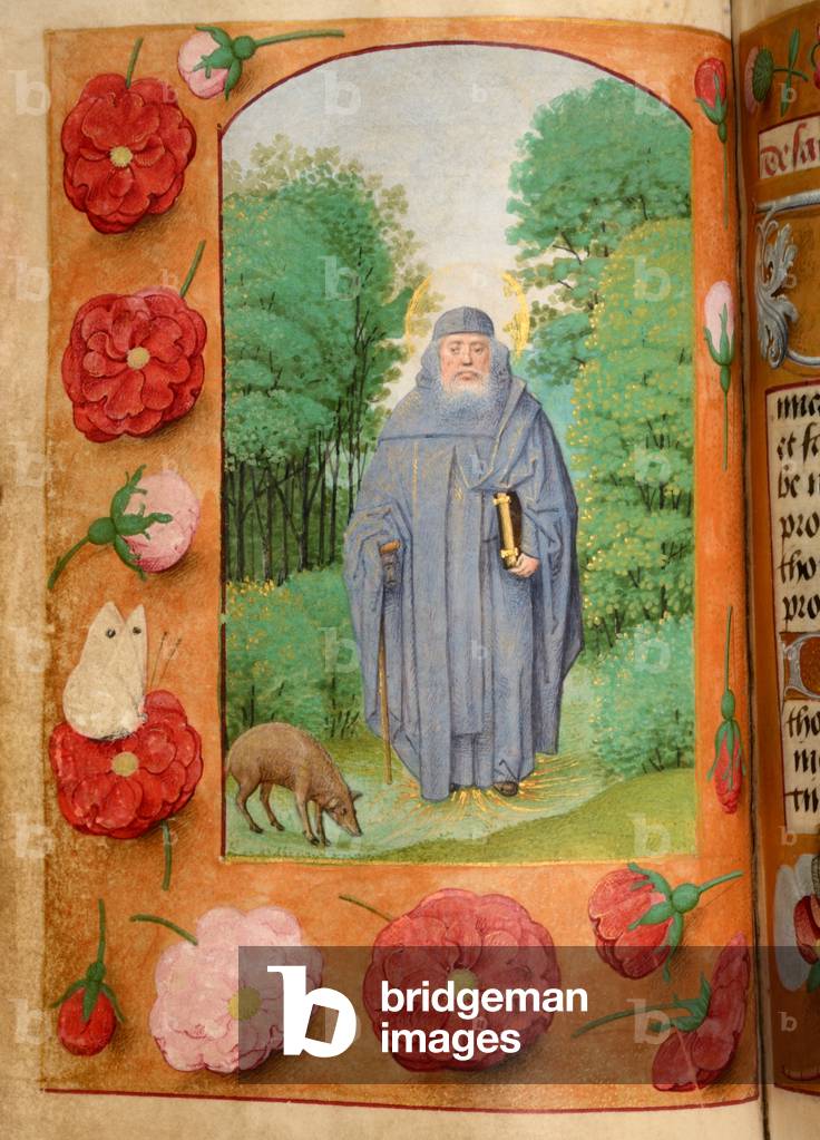 Ms 60 fol.53v St. Anthony, from the Hours of Katherine Bray, c.1480-90 (gouache & bodycolour on vellum)