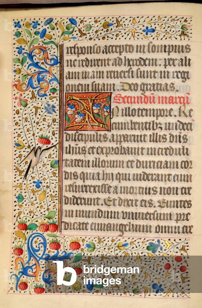 Ms 39 fol.16v Detail of illuminated border, from the Heures de Nostre Dame, c.1450 (gouache, bodycolour & gilding on vellum)