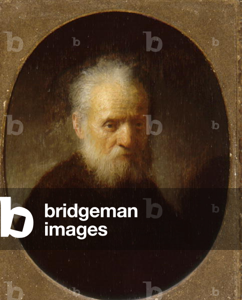 A Bearded Philosopher (oil on canvas)