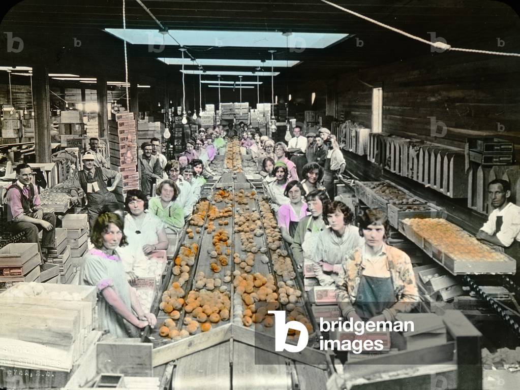 Packing and grading peaches, Penticton, British Columbia, Canada, 1920s (hand-tinted photo)