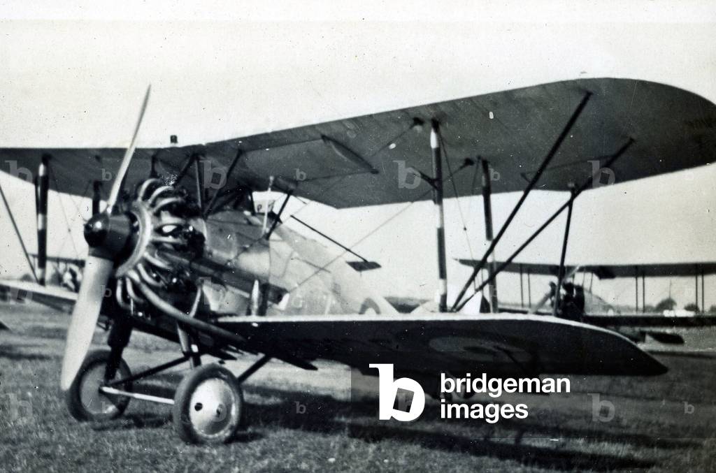 Gloster Gamecock, No. 2 Flying Training School, Royal Air Force, Digby, Lincolnshire, 1928-30 (b/w photo)