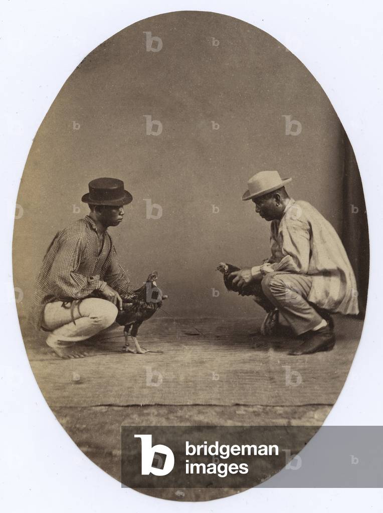 Two men preparing for a cock fight (b/w photo)