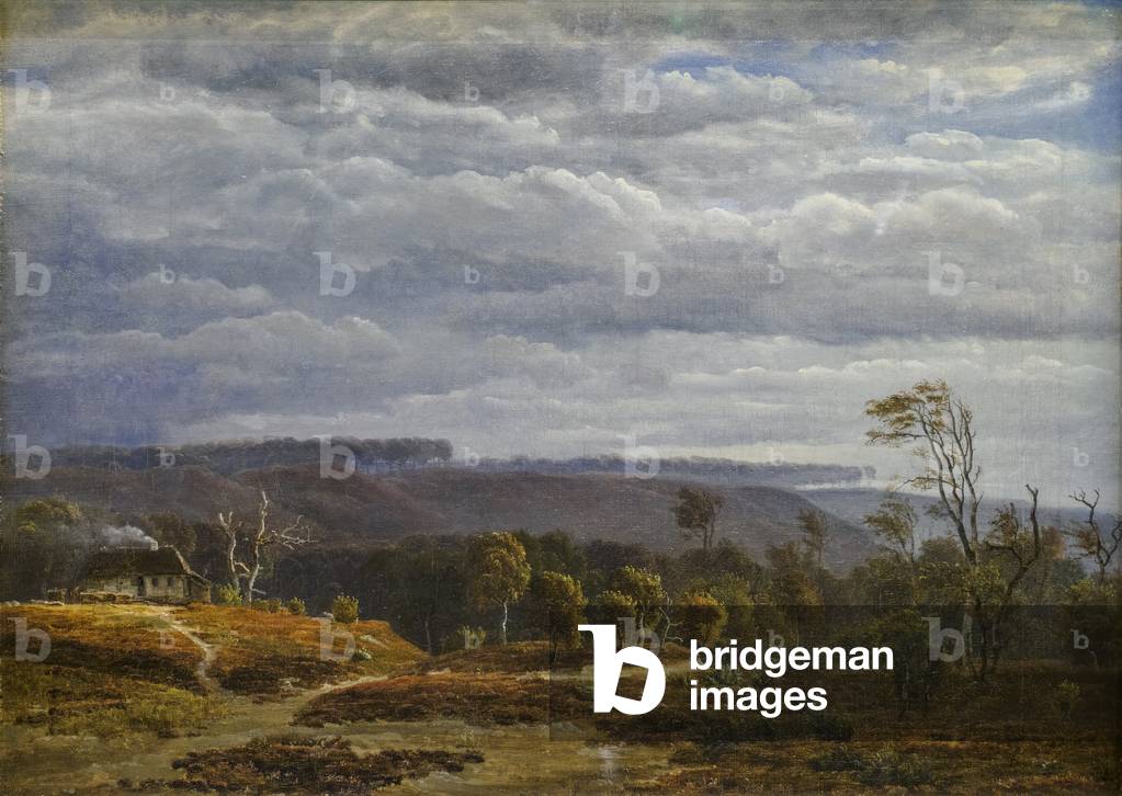 A View of a Wooded Landscape in Jutland, 1841 (oil on canvas)
