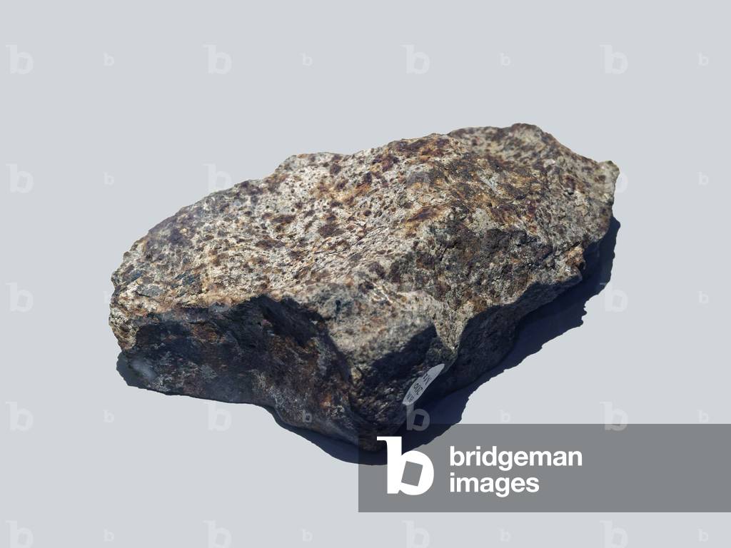 Chondrite Ordinary (L5). Tombee in Valera (Venezuela) nel 1972. Natural History Museul, Londra.