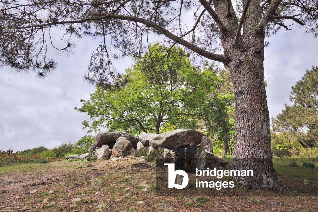 The Kerzerho alignments - Les Geants de Kerzerho - Alignements de Kerzerho - Menhirs et Dolmens - Brittany - Morbihan - France -