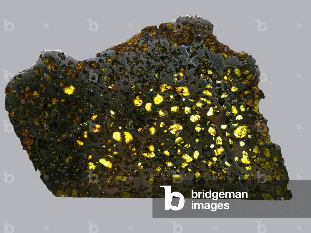 Mixed meteorite (Pallasite). Find Esquel (Argentina) in 1951. National Museum of Natural History, Paris.