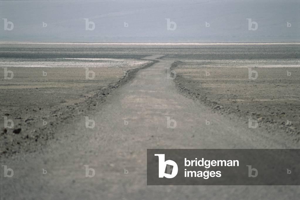 Death Valley, 'Devil's Golf course', California, 2005 (photo)
