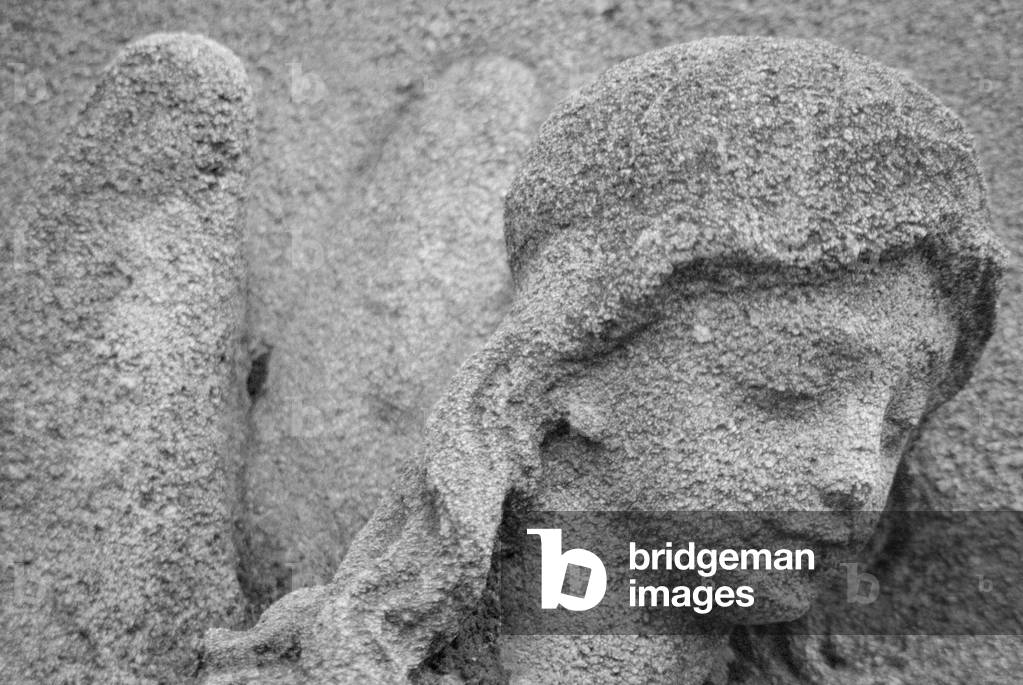 Head of an angel (b/w photo)