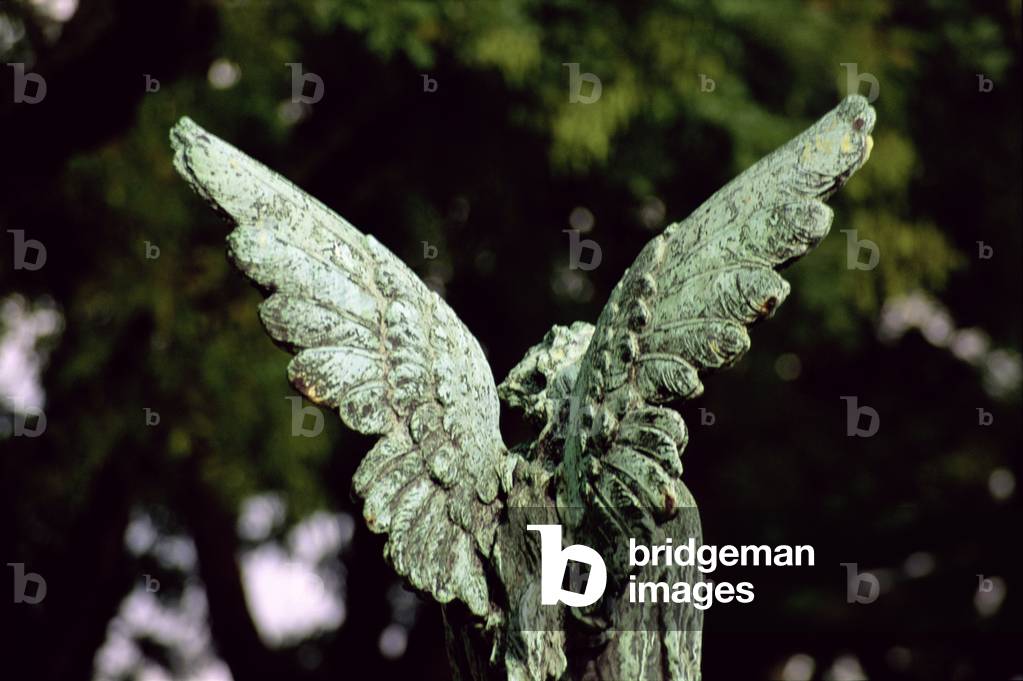 Angel (photo) (see also 239664)