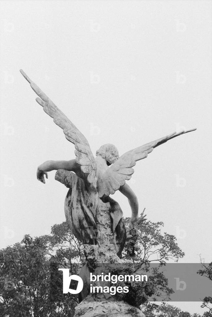 Angel (photo) (see also 287114)