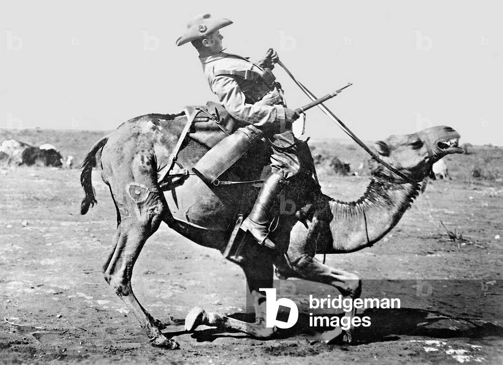 Soldier of the protection force in German Southwest Africa, 1908 (b/w photo)