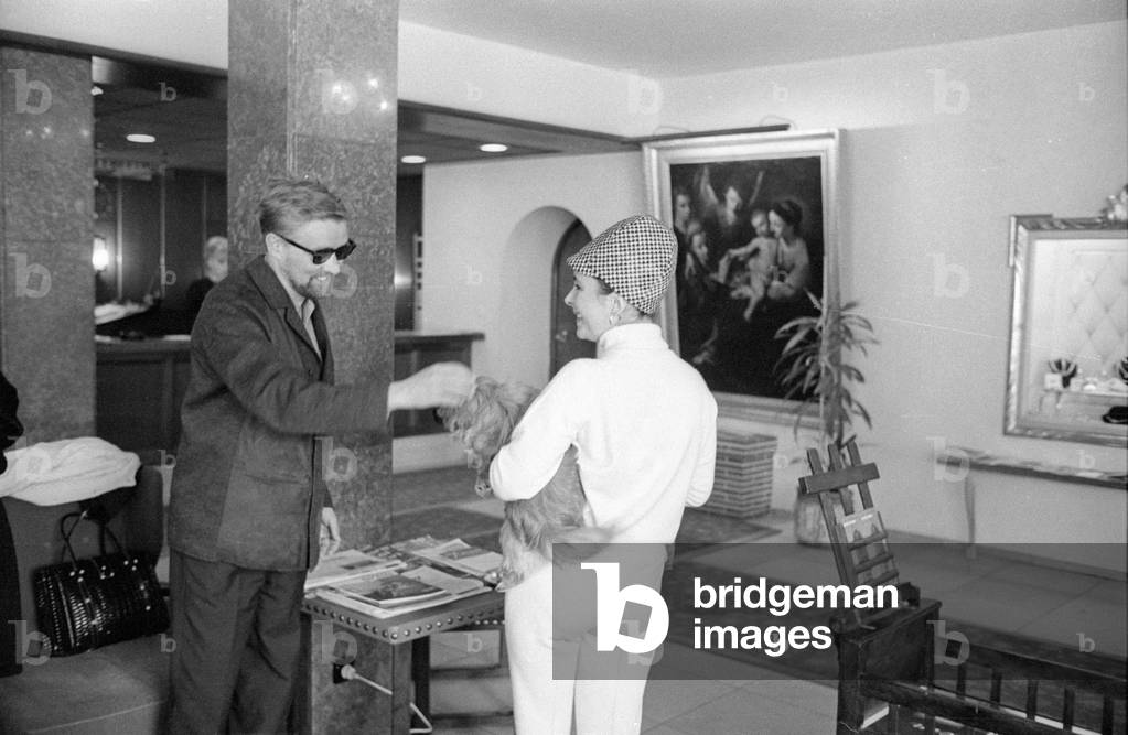 Elizabeth Taylor, 1965 (b/w photo)