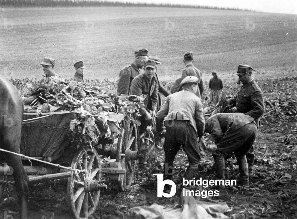 Forced laborers in agriculture (b/w photo)