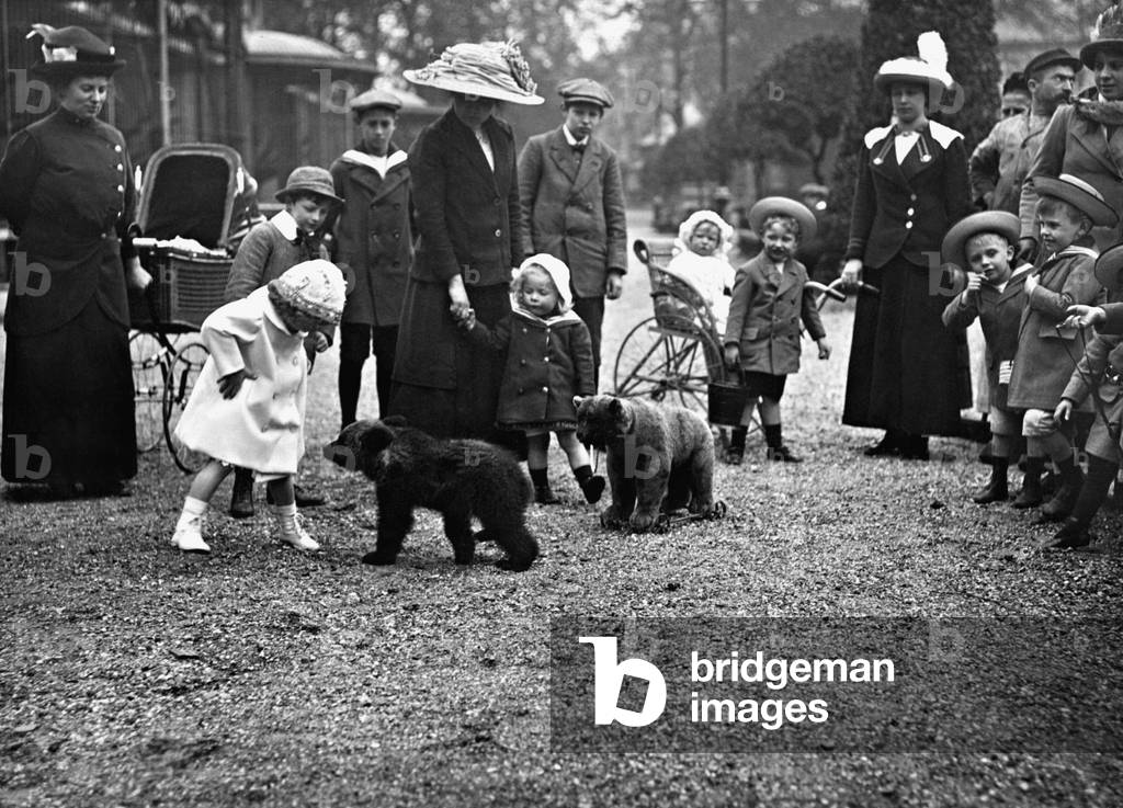 Little bear in the zoo of Rotterdam, 1913 (b/w photo)