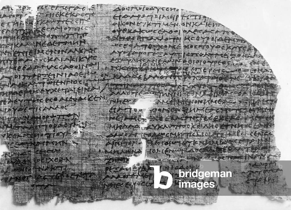 Egyptian Papyrus (b/w photo)