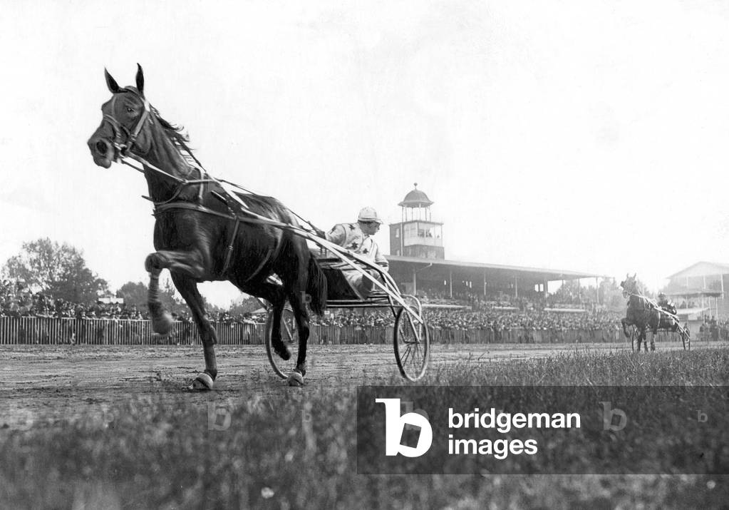 Equestrian sport (b/w photo)