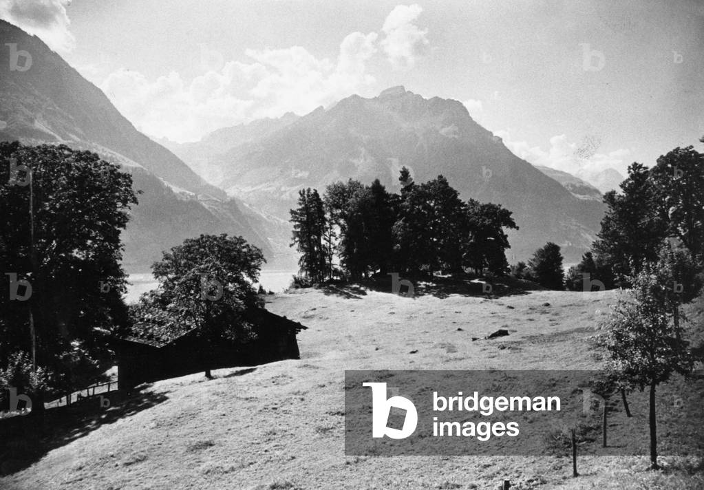 The Ruetli meadow in Switzerland (b/w photo)